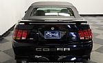 2001 Mustang SVT Cobra Convertible Thumbnail 8