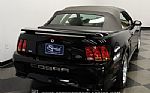 2001 Mustang SVT Cobra Convertible Thumbnail 9