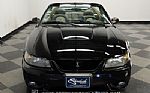 2001 Mustang SVT Cobra Convertible Thumbnail 15