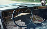 1979 Magnum Thumbnail 16
