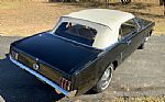 1964 Mustang Thumbnail 94