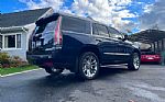 2020 Escalade Thumbnail 3