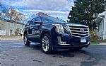 2020 Escalade Thumbnail 10