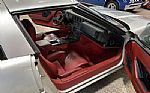 1984 Corvette Thumbnail 31