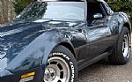 1981 Corvette Coupe Thumbnail 22