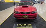 2001 Mustang GT Convertible Thumbnail 8