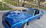 1978 Trans Am Thumbnail 2