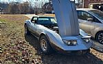 1978 Corvette Stingray Special Edition Thumbnail 2