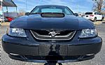 2002 Mustang Thumbnail 5