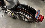 1982 FXE Super Glide Thumbnail 9