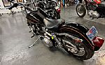 1982 FXE Super Glide Thumbnail 10