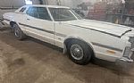 1975 Elite Thumbnail 1
