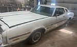 1975 Elite Thumbnail 2