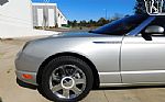 2005 Thunderbird Premium Edition 50 Thumbnail 10