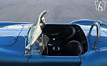 1965 Cobra Thumbnail 32