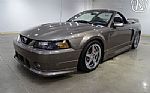 2002 Mustang Roush Convertible Stag Thumbnail 4