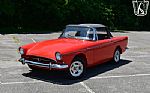 1967 Tiger Thumbnail 2