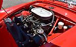 1967 Tiger Thumbnail 39