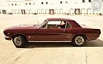 1966 Mustang Thumbnail 4