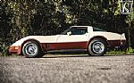 1981 Corvette Thumbnail 8