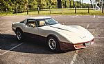 1981 Corvette Thumbnail 21