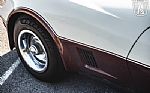 1981 Corvette Thumbnail 37