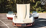 1981 Corvette Thumbnail 59