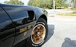 1976 Firebird Trans Am Special Edit Thumbnail 28