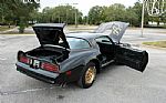 1976 Firebird Trans Am Special Edit Thumbnail 69