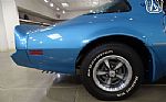 1979 Firebird Trans Am Thumbnail 33