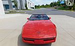 1986 Corvette Pace Car Edition Thumbnail 5