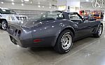 1981 Corvette Thumbnail 58