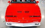 1985 Firebird Trans Am Thumbnail 6