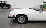 1989 XJS Thumbnail 65
