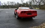 1990 Corvette Thumbnail 10