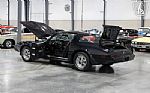 1981 Firebird Trans Am Thumbnail 71