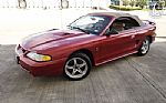1998 Mustang SVT Cobra Thumbnail 12