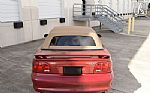 1998 Mustang SVT Cobra Thumbnail 19