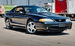 1996 Mustang SVT Cobra Thumbnail 4