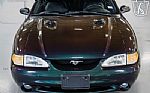 1996 Mustang SVT Cobra Thumbnail 12