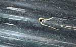 1954 3600 Pickup Thumbnail 21