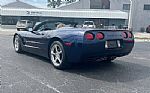 2001 Corvette Thumbnail 5