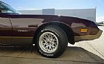 1980 Firebird Turbo Formula WS6 Thumbnail 39