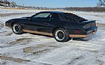 1982 Firebird Thumbnail 5