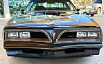 1981 Trans Am Thumbnail 2