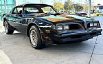 1981 Trans Am Thumbnail 4
