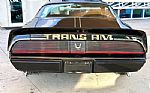 1981 Trans Am Thumbnail 7