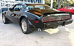 1981 Trans Am Thumbnail 9
