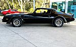1981 Trans Am Thumbnail 10