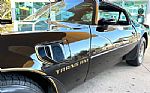 1981 Trans Am Thumbnail 13